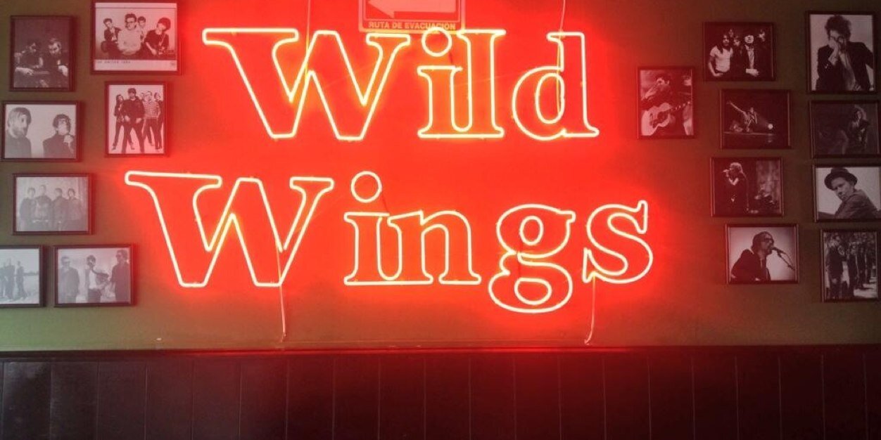 Wild Wings Satélite banner