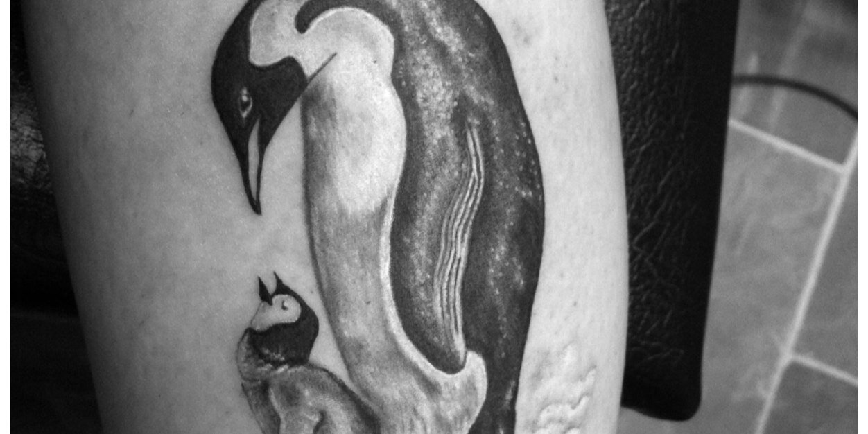 penguinrelayer's profile banner image