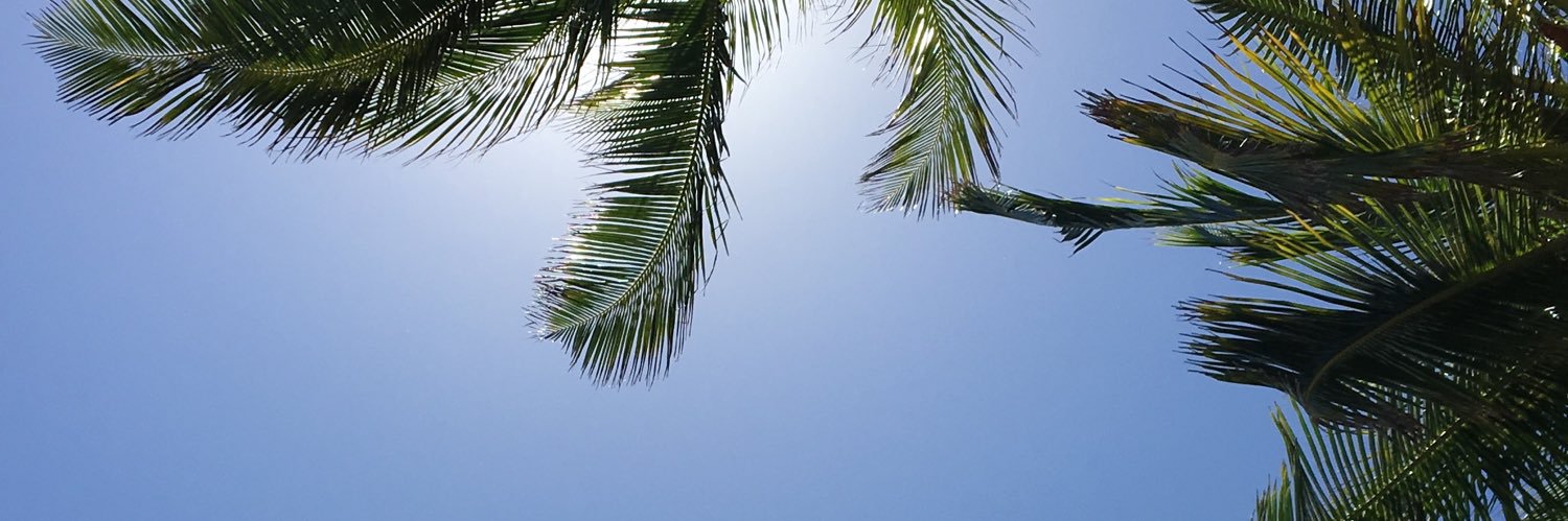becaparedes's profile banner image