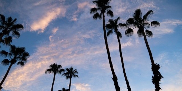 ahsenalas's profile banner image