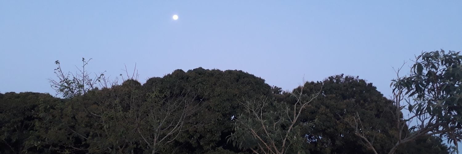 R_M_SRS's profile banner image