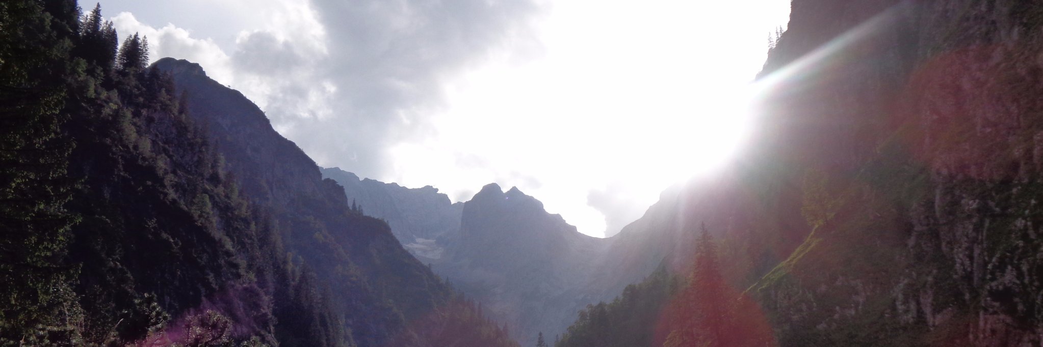 TimNissel's profile banner image