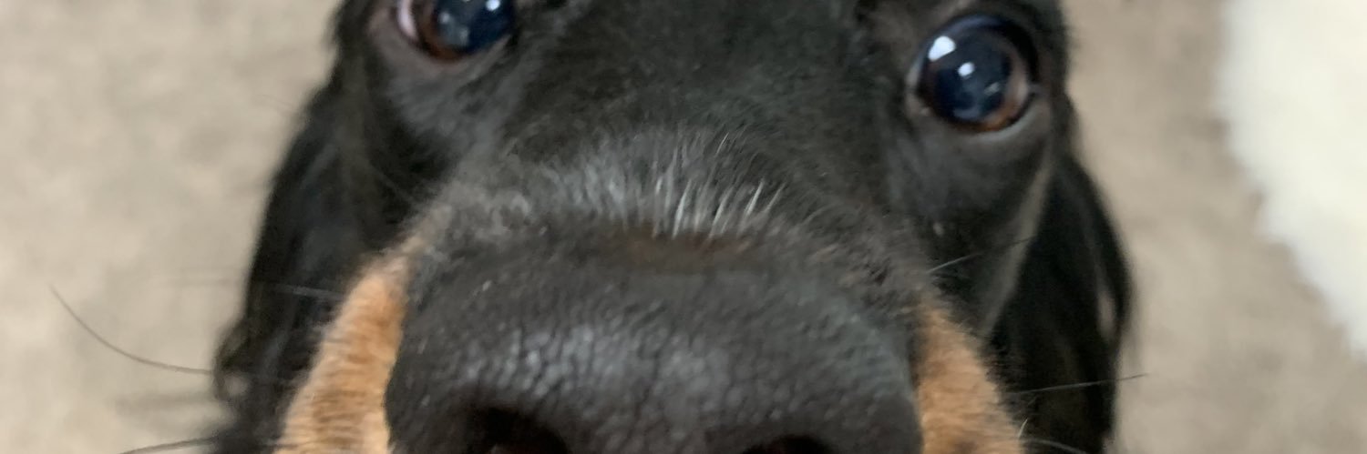 jocewright's profile banner image