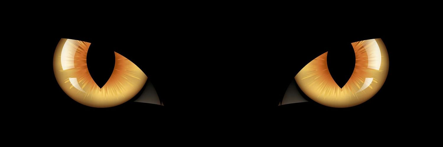 Courage_Hope21's profile banner image