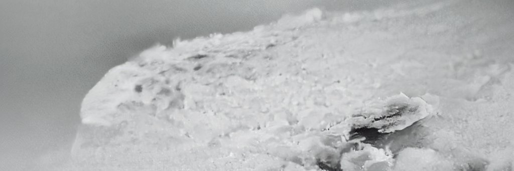 Mizeriusz's profile banner image