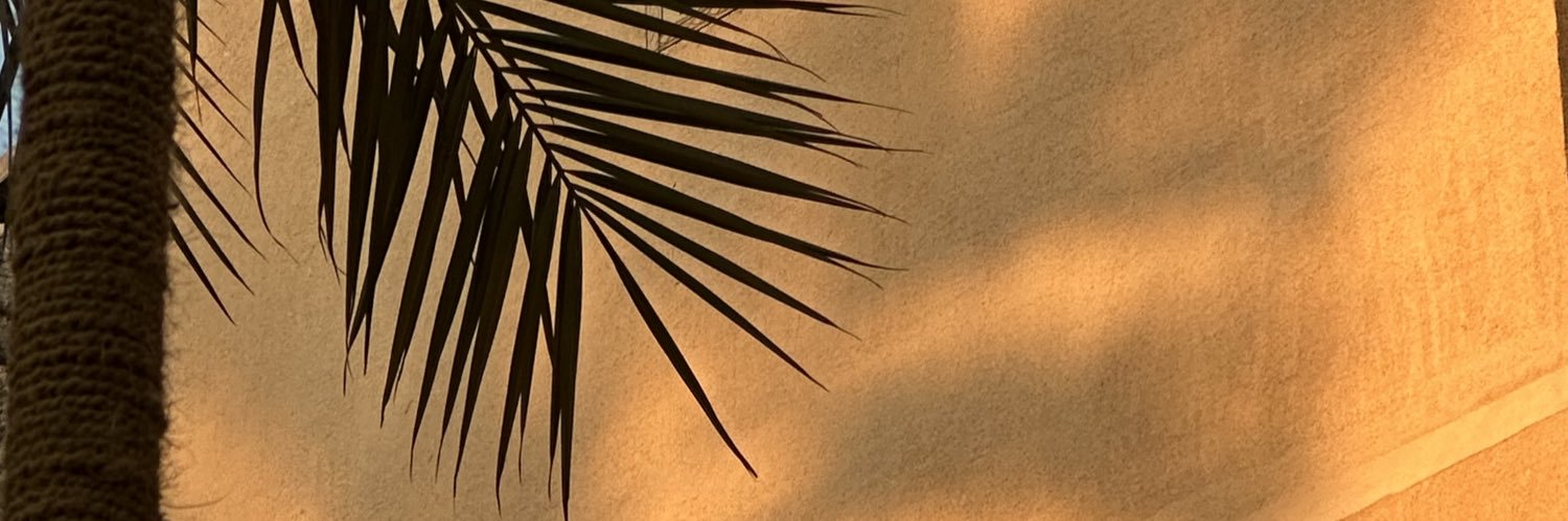 shahira246's profile banner image