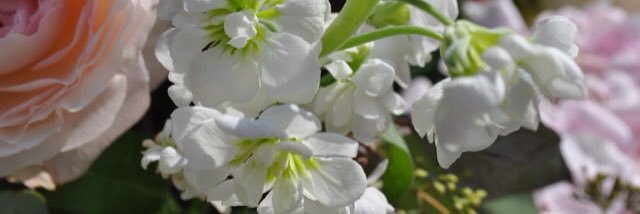 Em_Gough's profile banner image