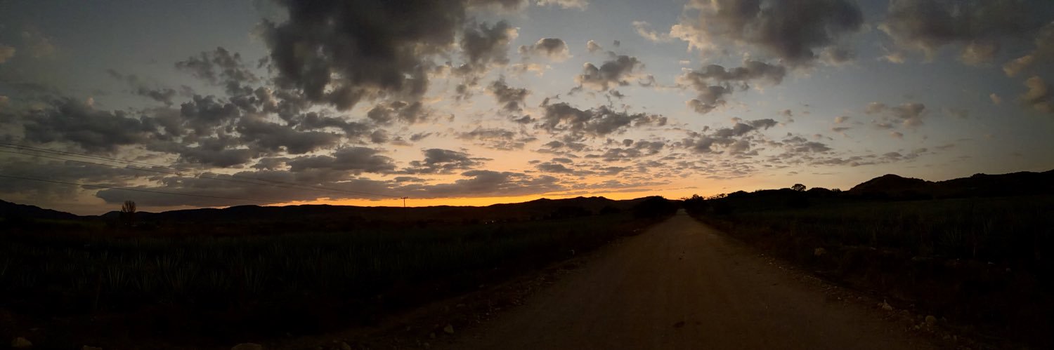 ejflores87's profile banner image