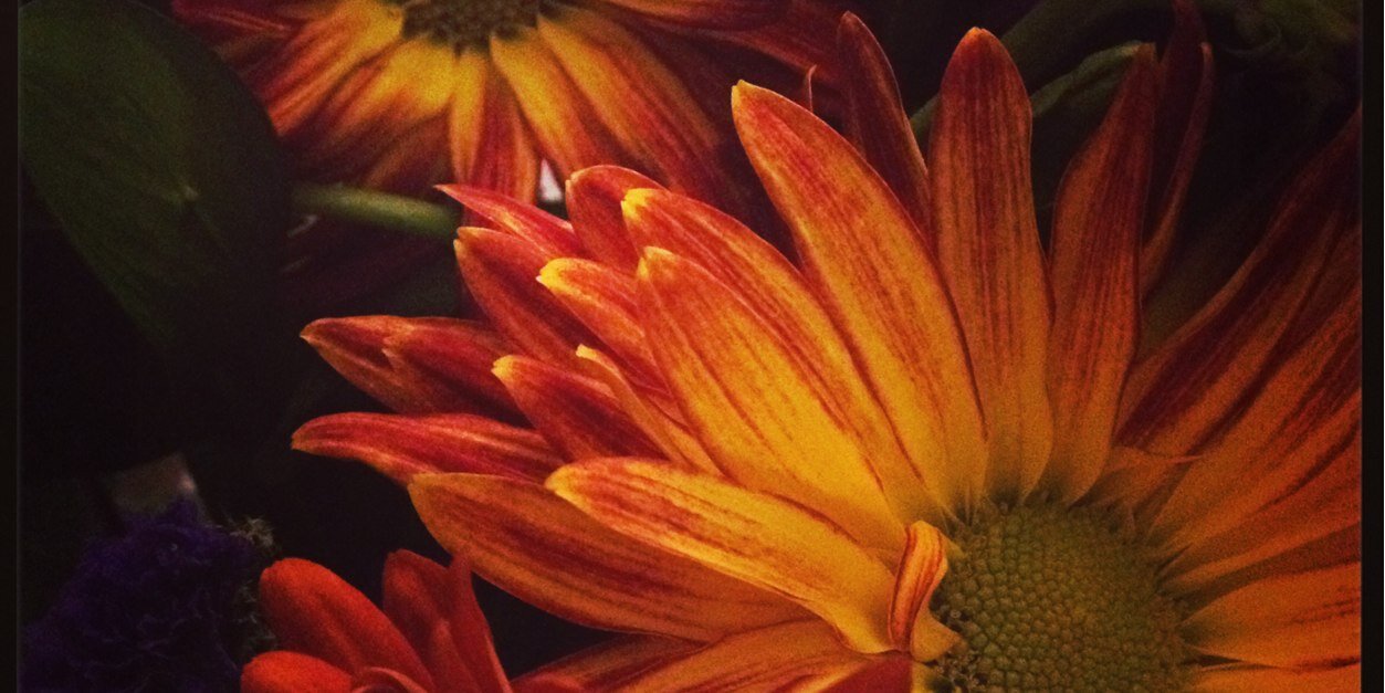 KT_Garten's profile banner image