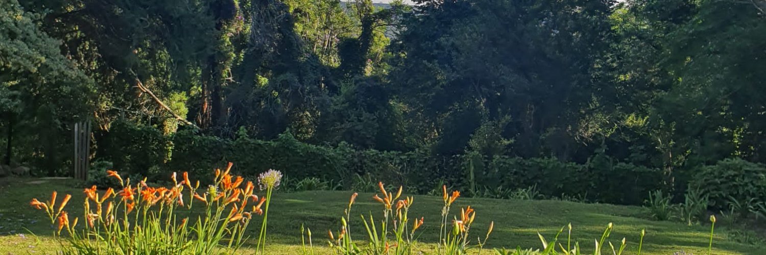 Lutz_bosman's profile banner image