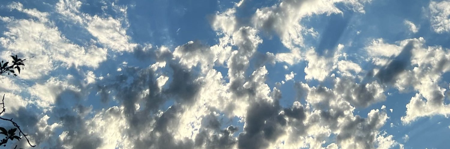 chrisnateee's profile banner image