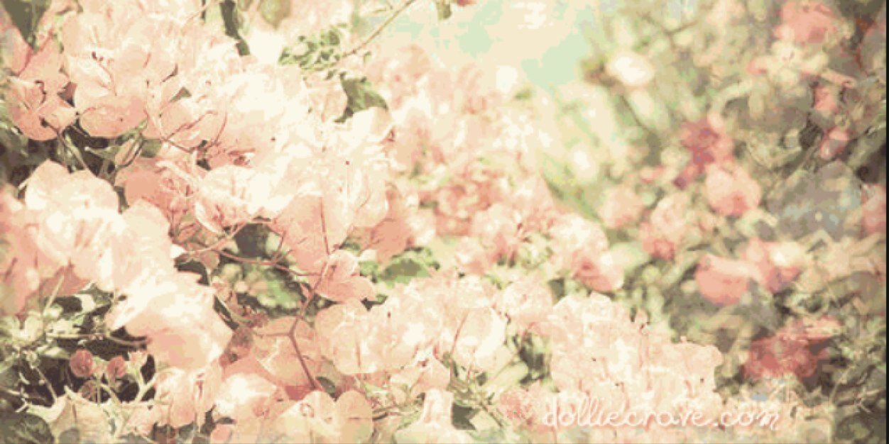 NikBarthel's profile banner image