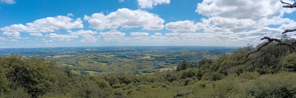 Bordeale Profile Banner