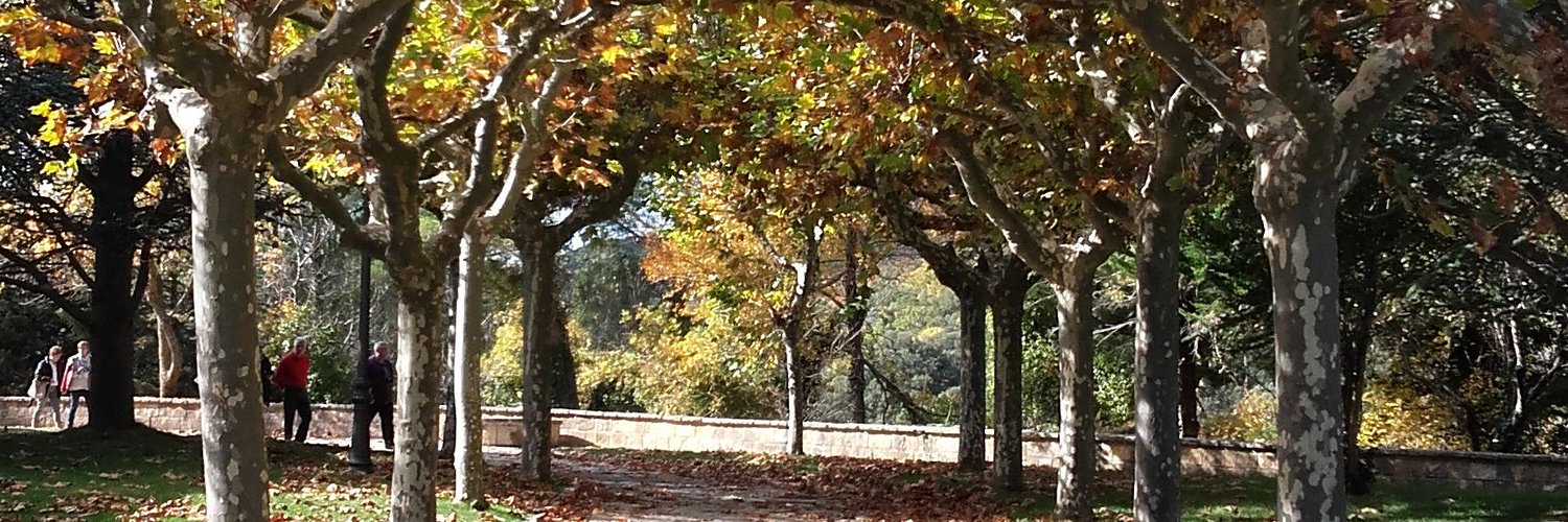 Carolina Aishemberg banner