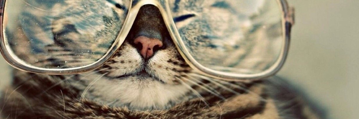 emilydautel's profile banner image