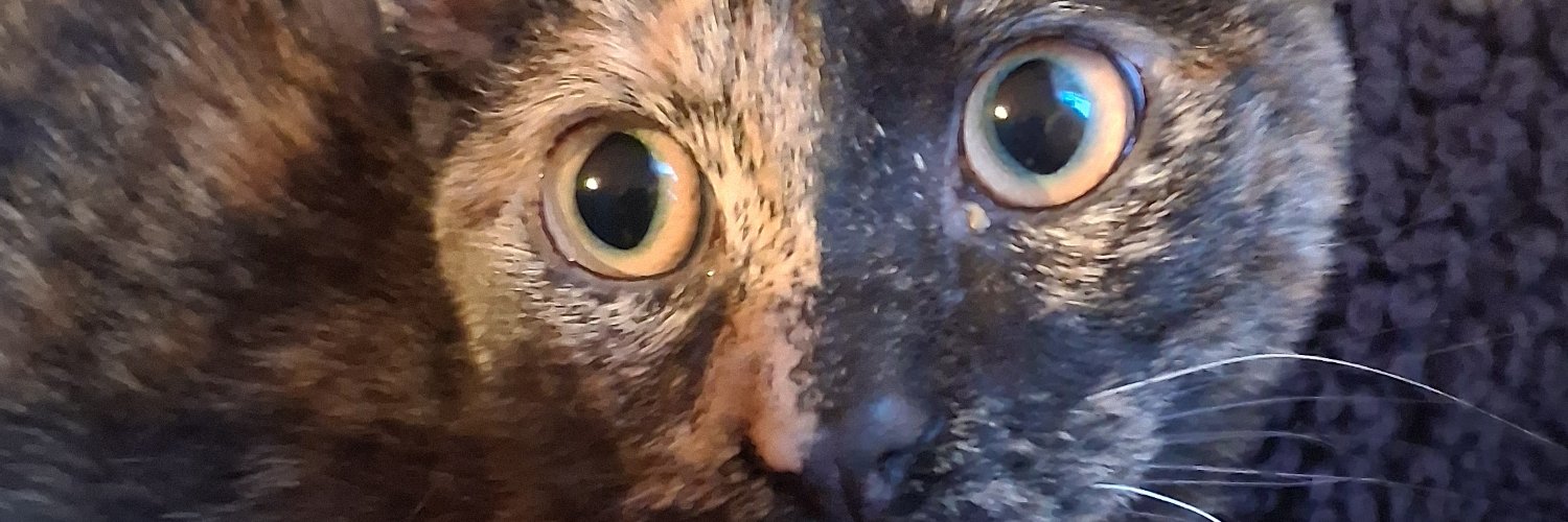 MPRodriguez72's profile banner image