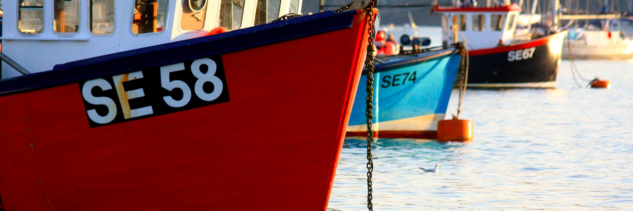 Immysalcs's profile banner image
