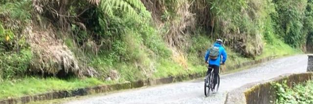 FelipeTomass' banner