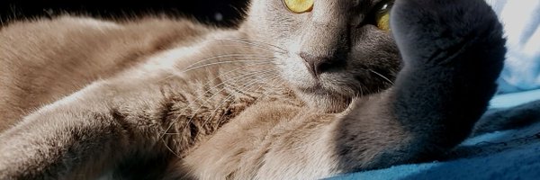 akiraka33 Profile Banner