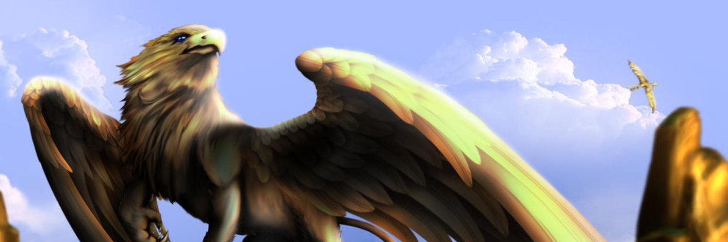 saedelaere's profile banner image