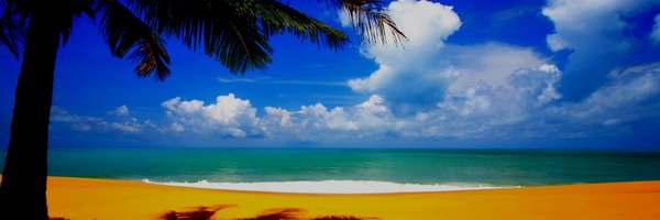 MediaSmartGuy Profile Banner