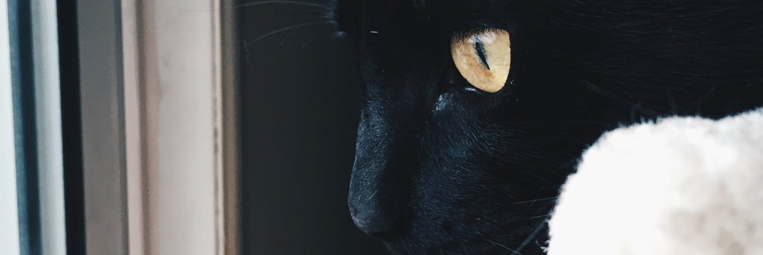RobertLeitner_'s profile banner image