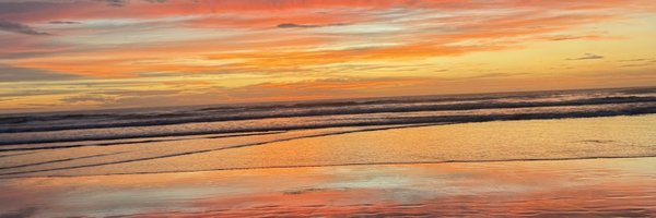 Casebradford Profile Banner