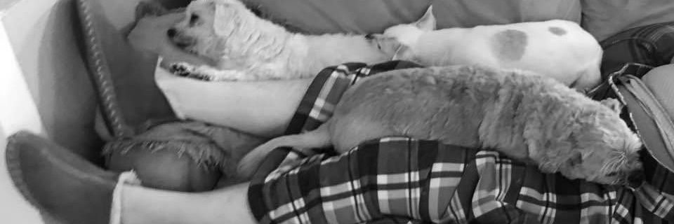 LisaE99's profile banner image