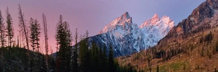 cargnarbylund's profile banner image