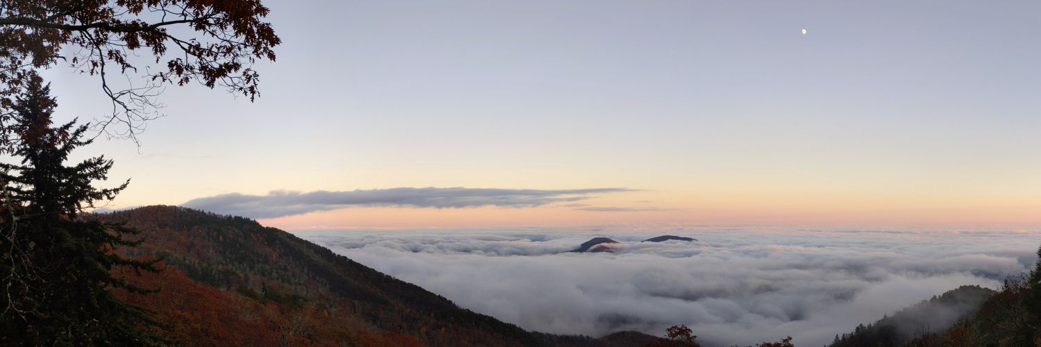 TeriosShadow's profile banner image