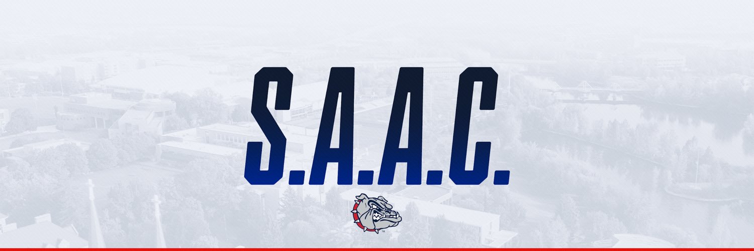 ZagSAAC's profile banner image
