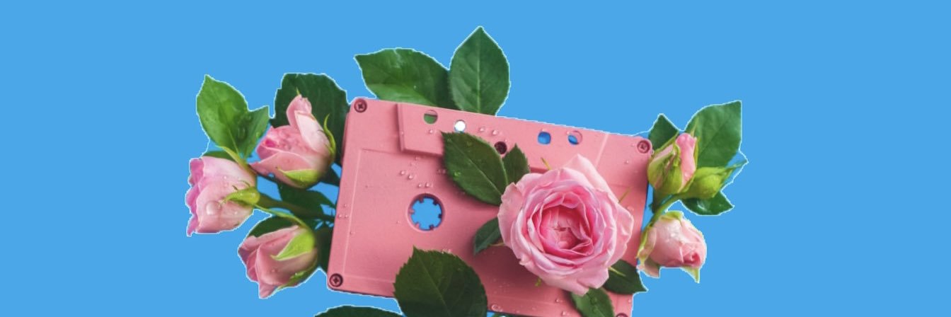 theraileyrose's profile banner image