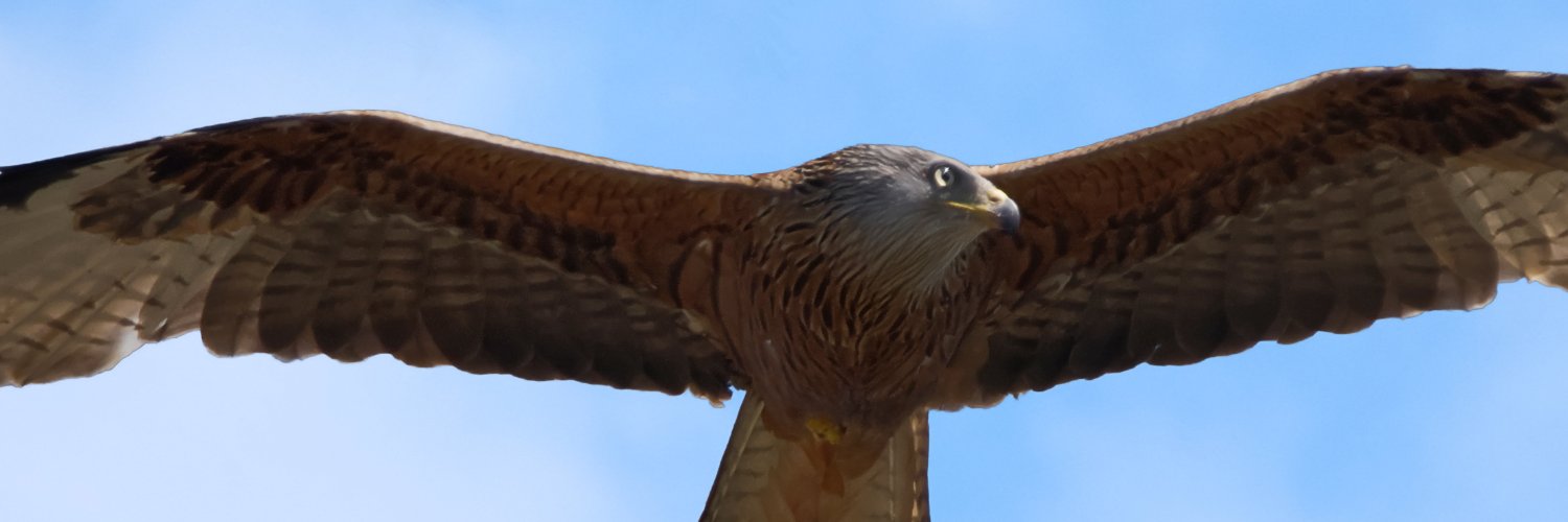 terry_huckle's profile banner image