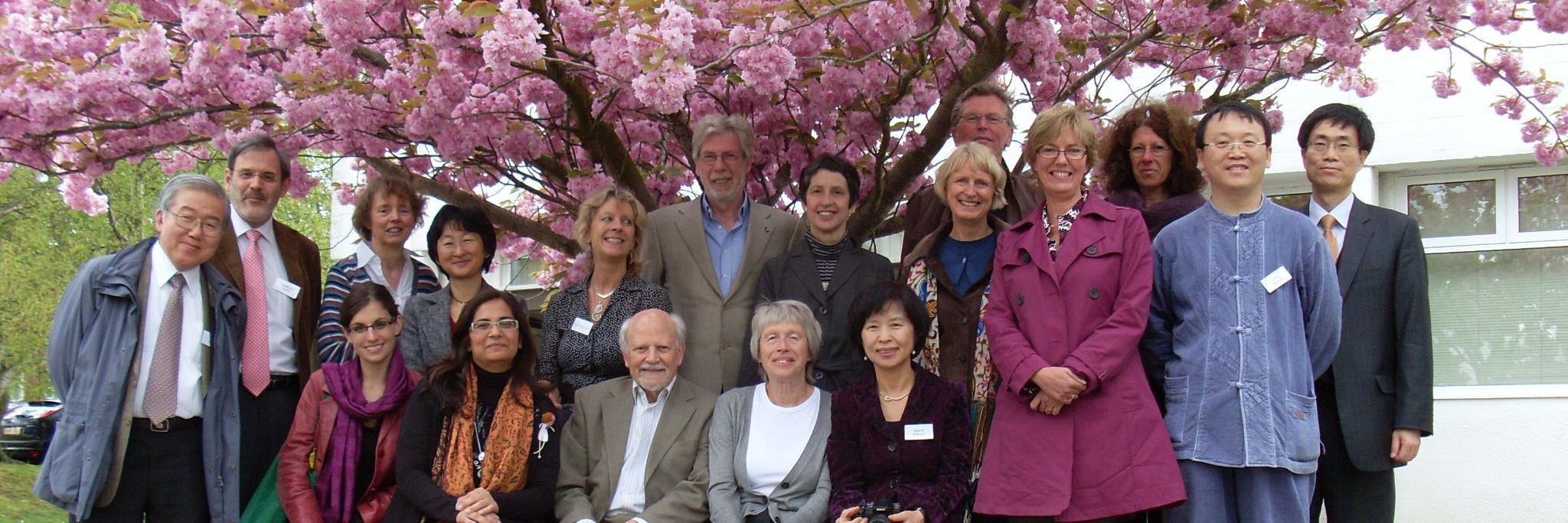 DIPEx International banner