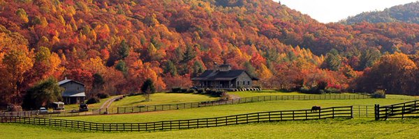 katmansden Profile Banner