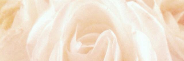 Laura Stebbins banner