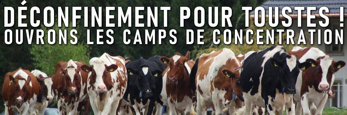 OpenTheFarms's profile banner image