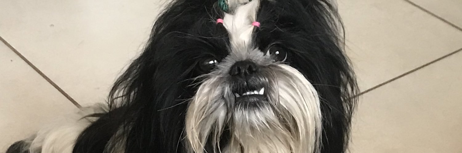 narantcha's profile banner image
