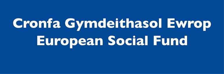 Bridges into Work 2 banner