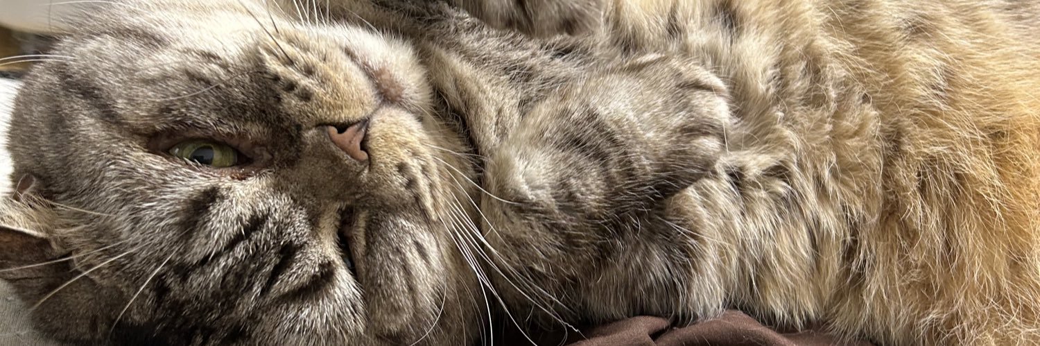 たっちぃ(全国猫カフェ巡り) banner