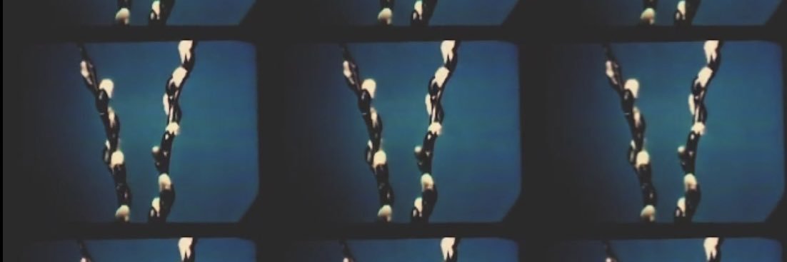 Nora Rothman banner