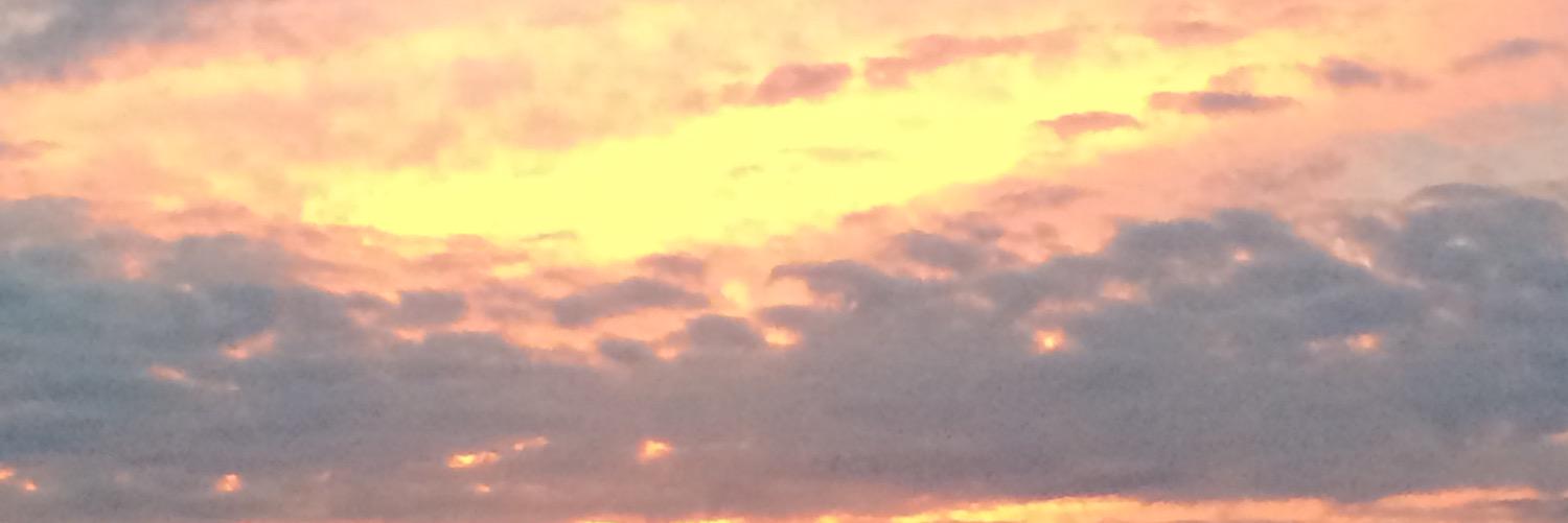 Abbie Hopp banner