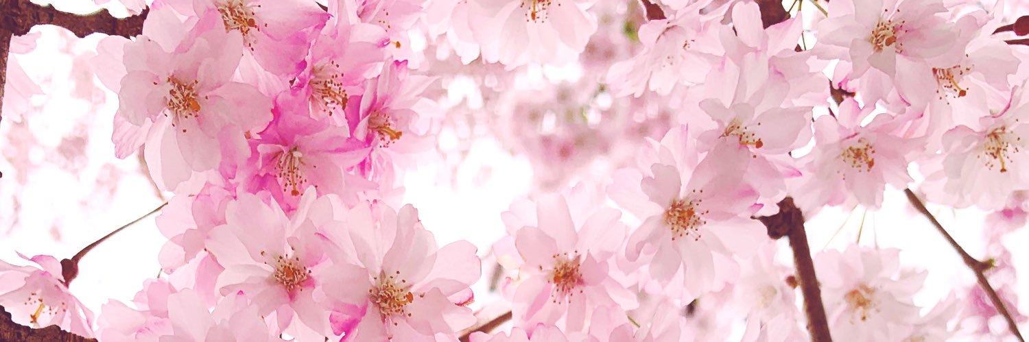 plume_cage's profile banner image