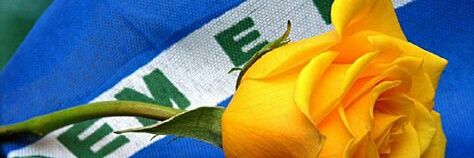 carlosBiola's profile banner image