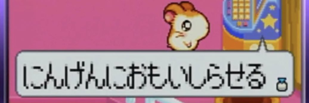 iri1204's profile banner image