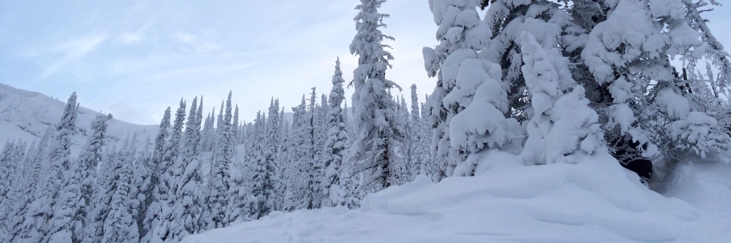 RobinWesthaver's profile banner image