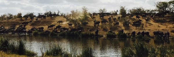 TinusvdH Profile Banner