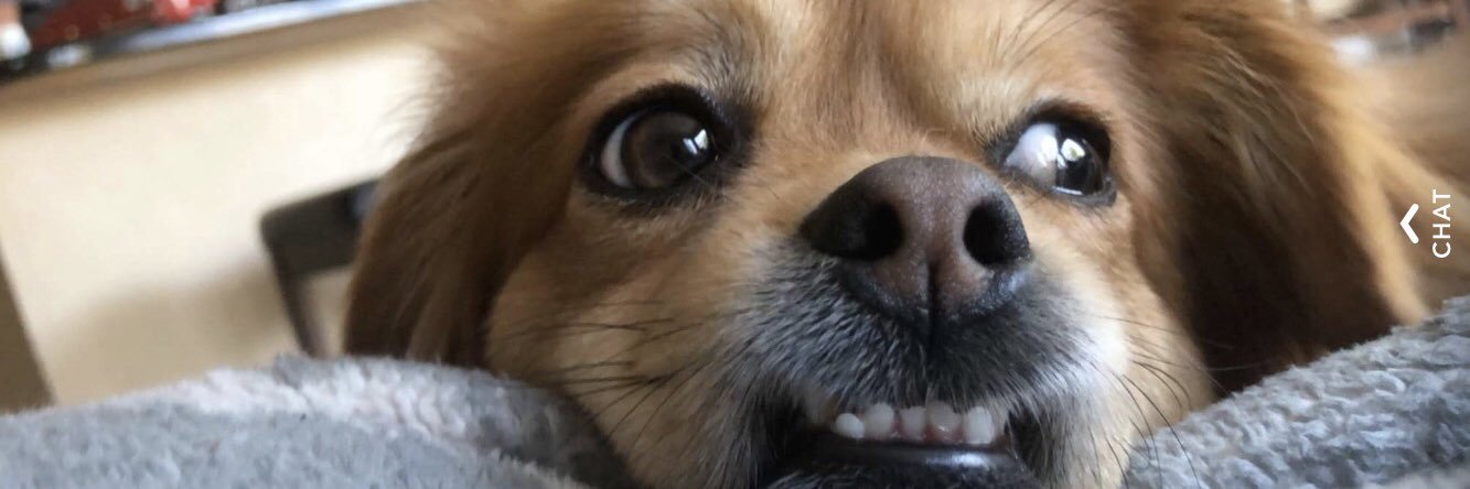 jazminee22's profile banner image