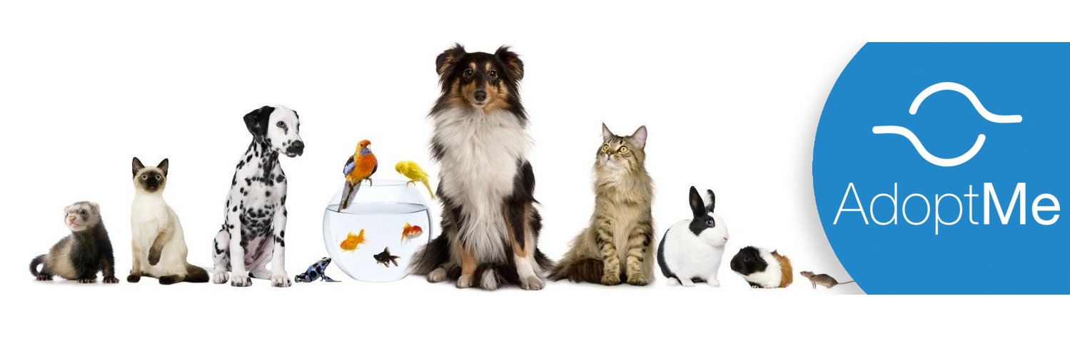 AppAdoptMe's profile banner image