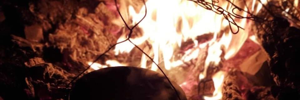 ecostrophe's profile banner image